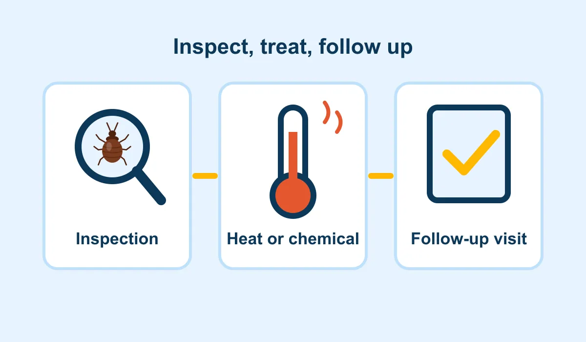 How bed bug treatment works